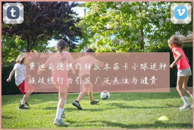 费迪南德愤怒转发本菲卡小球迷种族歧视行为引发广泛关注与谴责